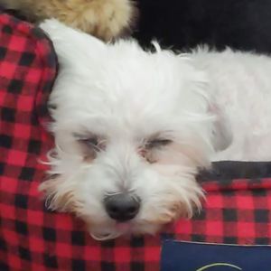 Meet your Posher, Ra